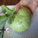 Alabaş Lahana Salatası Tarifi