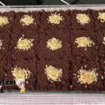 Tepside Köstebek Pasta Tarifi