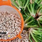 Terbiyeli Ispanak Çorbası Tarifi