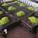 Browni Tadında Islak Kek Tarifi (videolu)