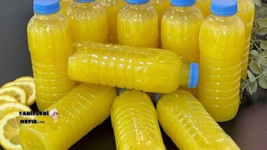 Buzlukta Saklanabilen Konsantre Limonata Tarifi