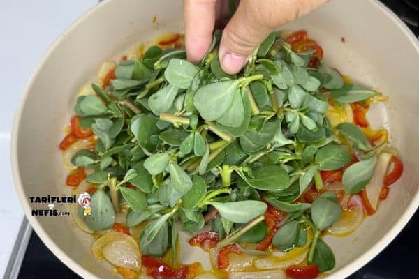 Yumurtalı Semizotu Tarifi