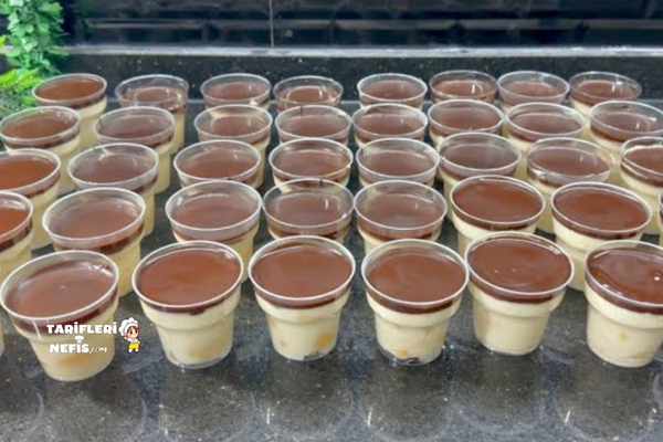 Çikolata soslu kedidili bisküvili porsiyonluk pasta